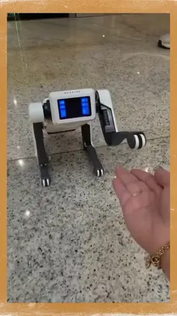 cachorro robô 