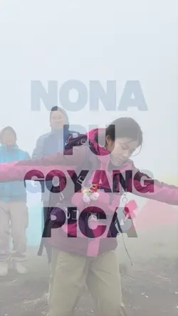 slowmo DJ pica pica