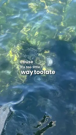 too little too late