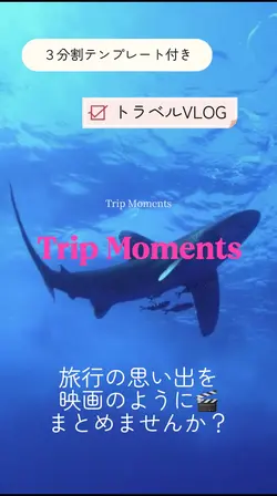 3分割あり🎥旅行の思い出✈️テンプレート🌺