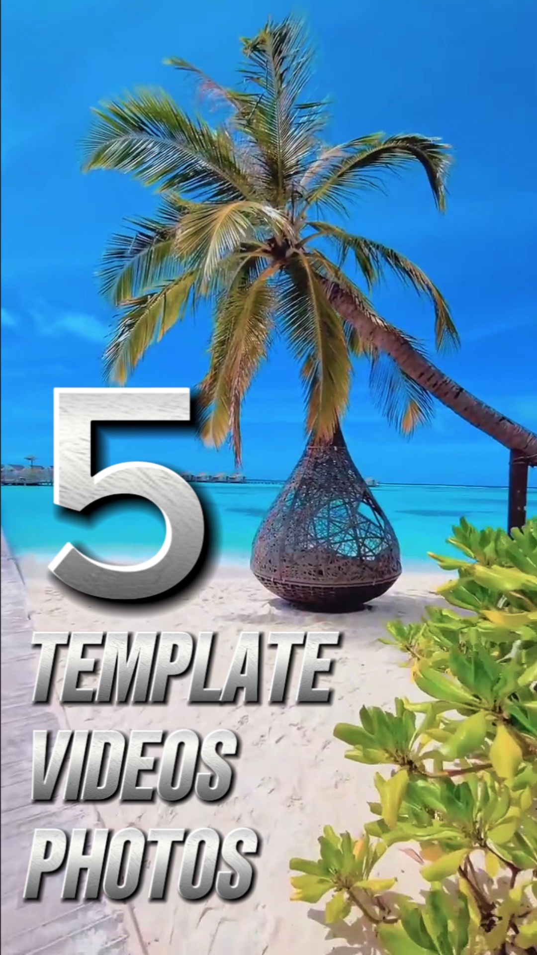 Nueva Plantilla 