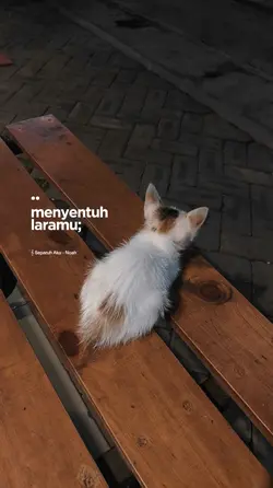 menyentuh laramu