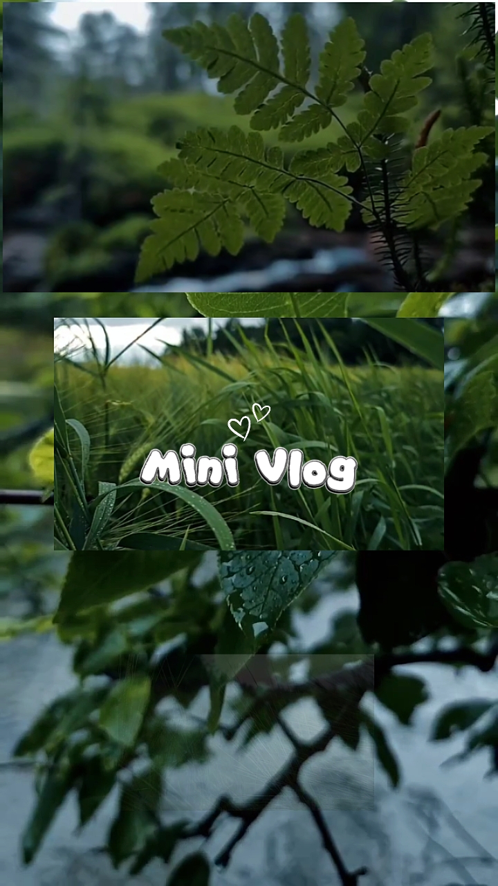 mini vlog aesthetic