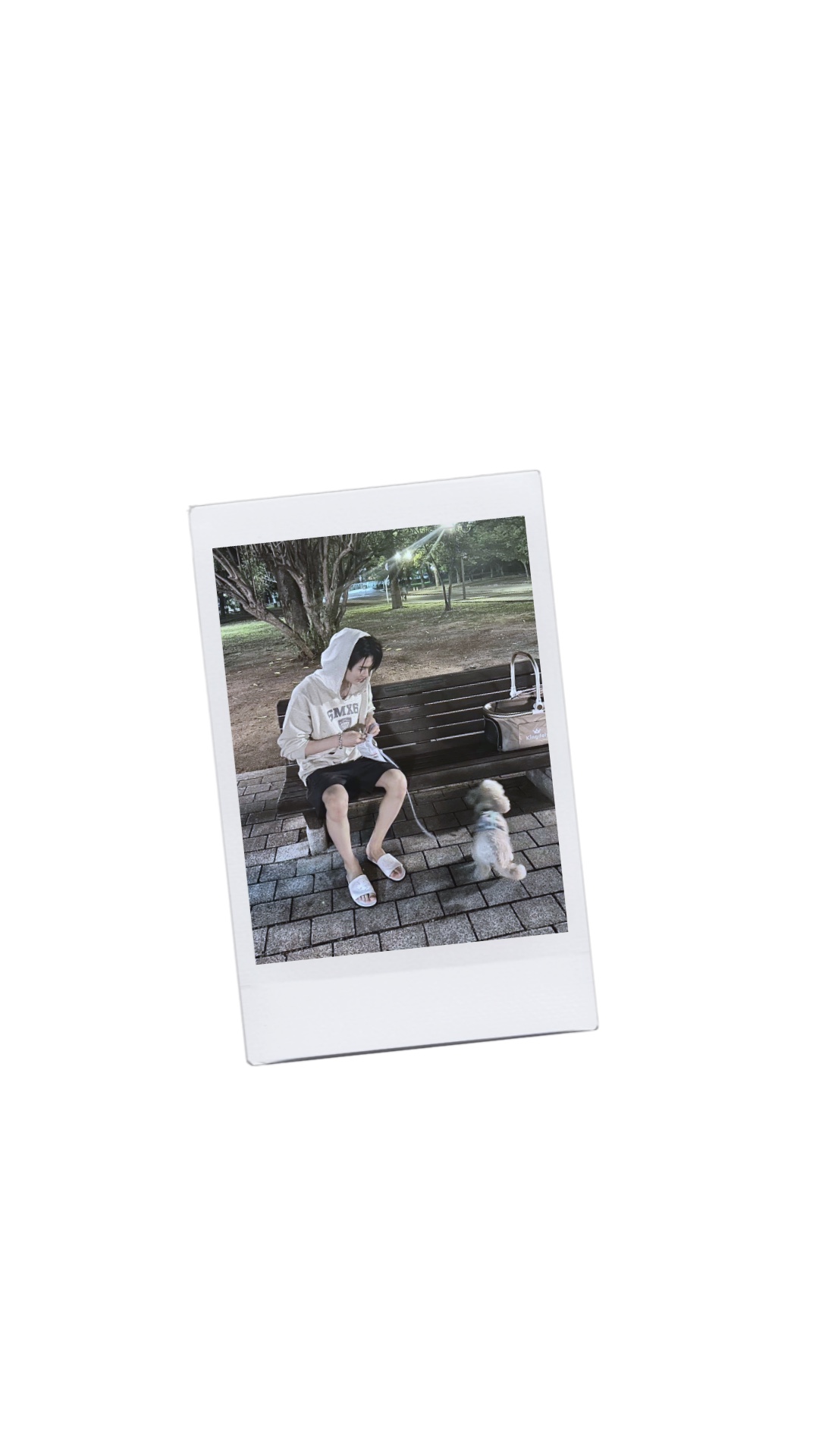 Quadro polaroid