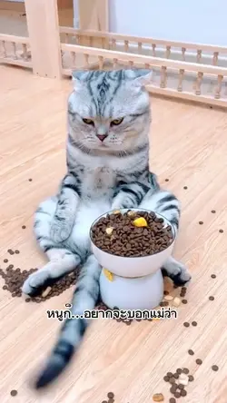 มันไม่ดูดีเลย ทาส