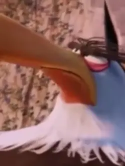 MEMES FF 🤠🏆✈️