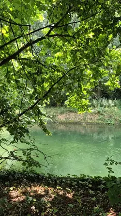 Linda natureza 