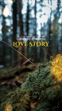 L O V E   S T O R Y