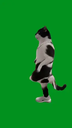raving cat