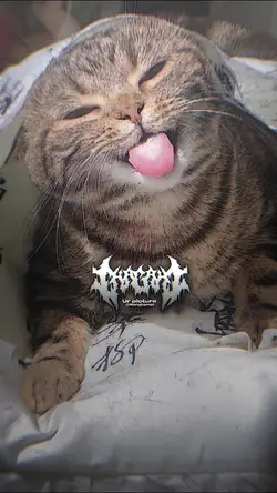 กำลังฮิต 2รูป