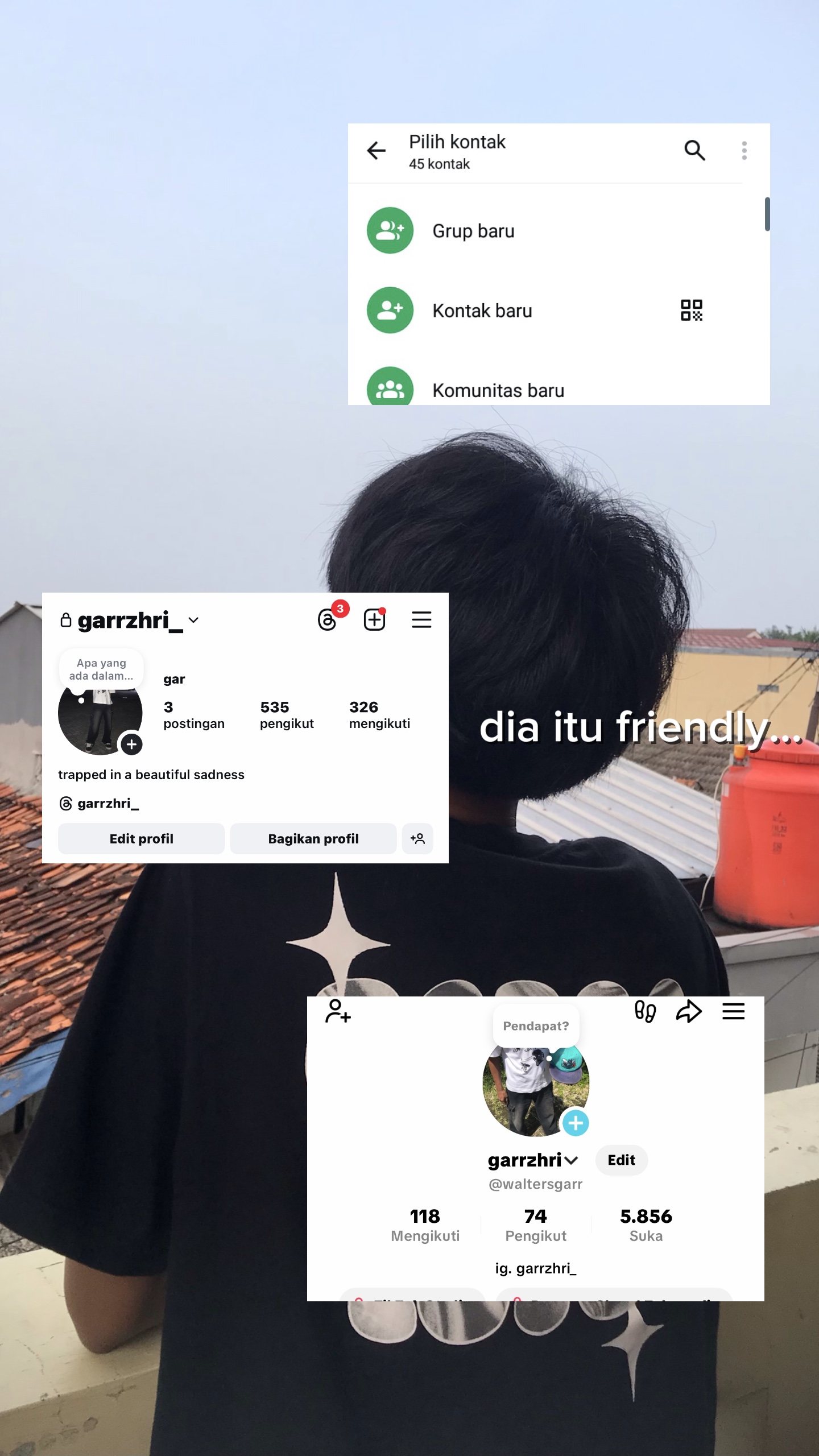 Cover Picture