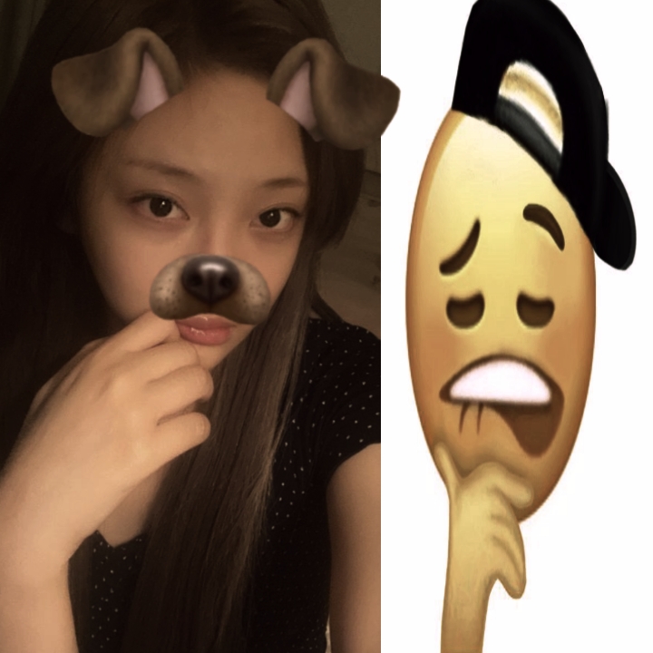 dog filter 
