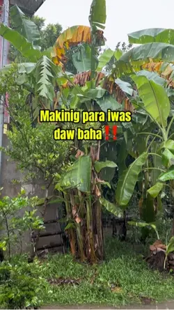 Iponin daw ang tubig