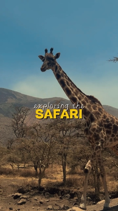 Exploring the safari