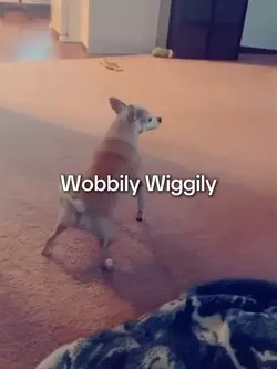 Wobbily Wiggily