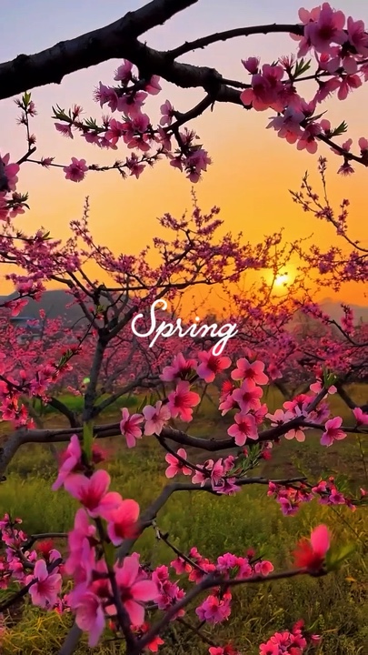 Spring
