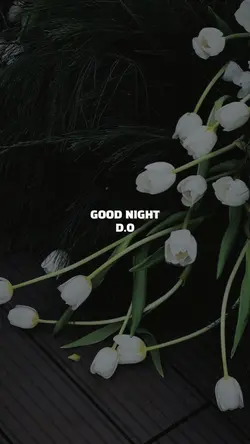 GOOD NIGHT 