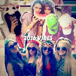 2016 Vibes Cutout