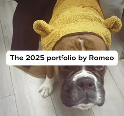 The Romeo portfolio 
