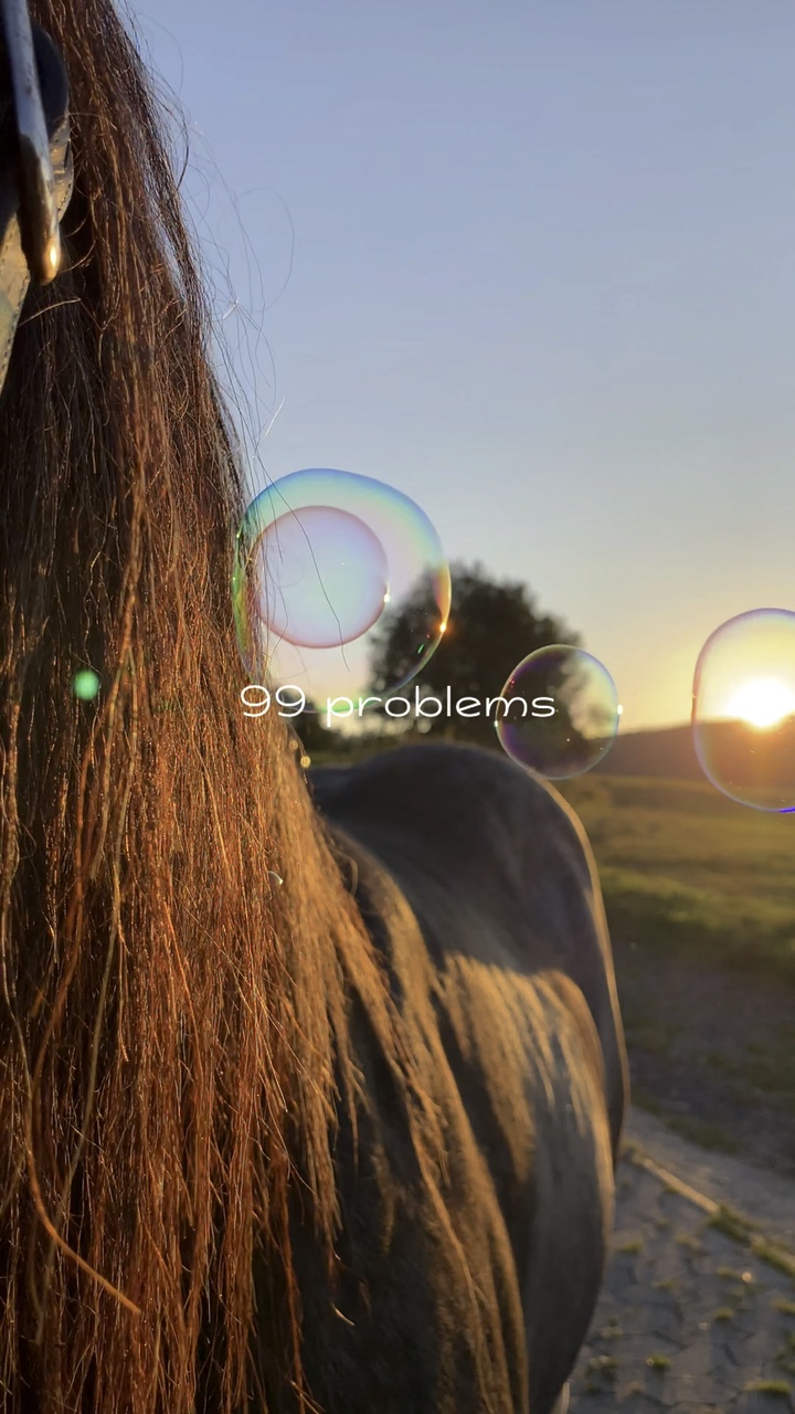 1 Solution! 🐴
