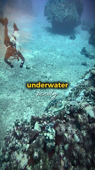 Underwater beauty