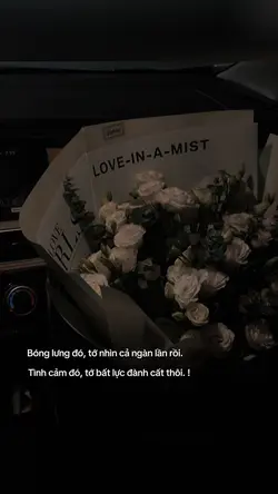 Cap1ảnh