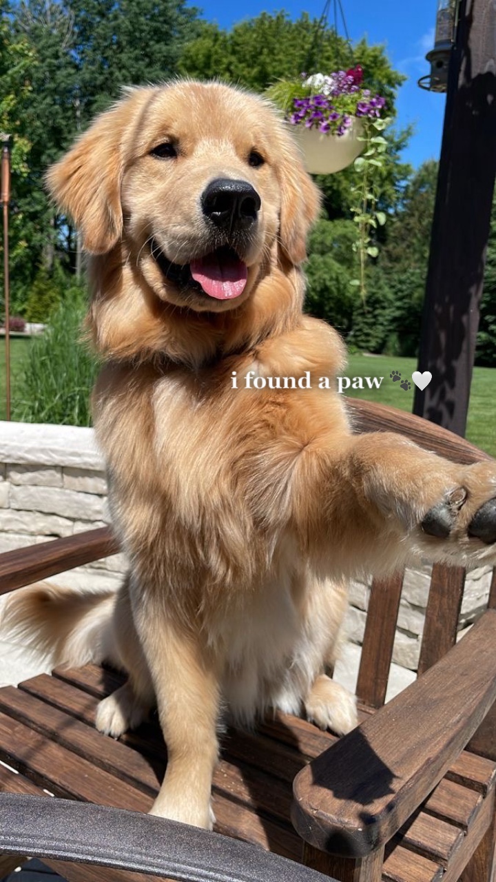 when i needed a hand