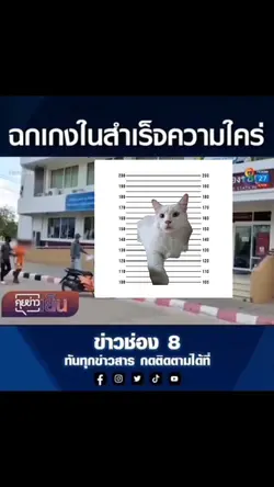 ข้อหา อนาจาร