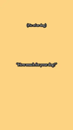 Keep ur money..✨