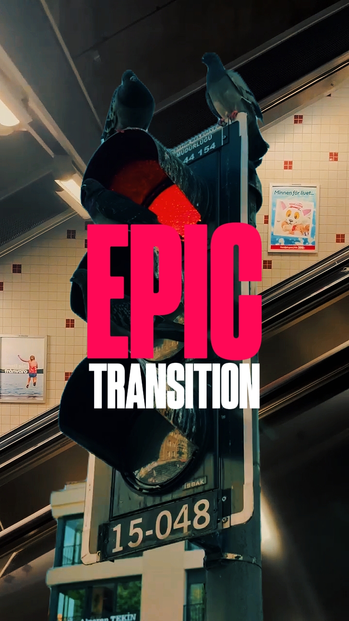TRANSICIÓN ÉPICA