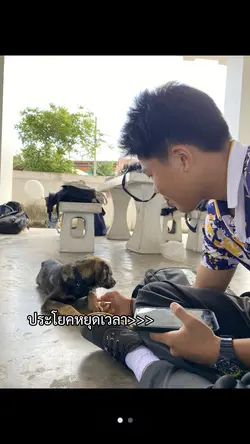 ประโยคหยุดเวลา