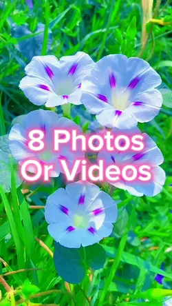 8 Photo Slides
