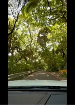車で案内