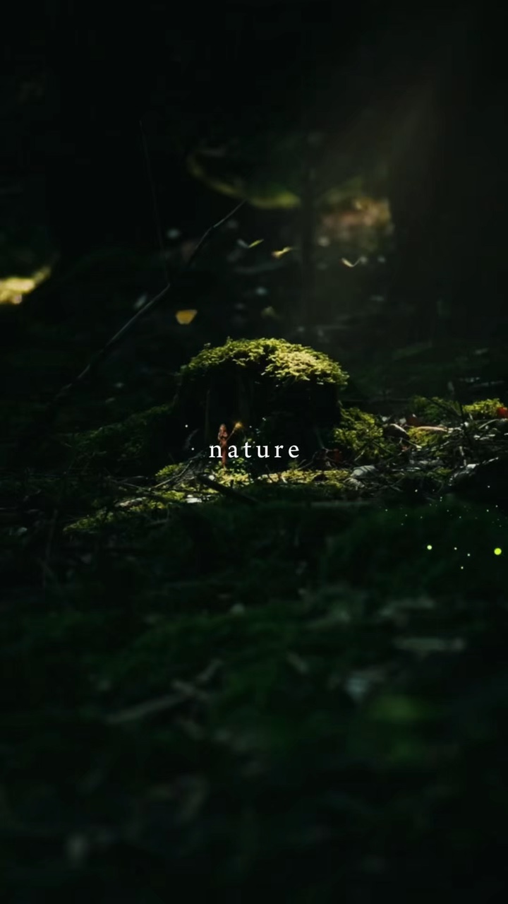 Natureza