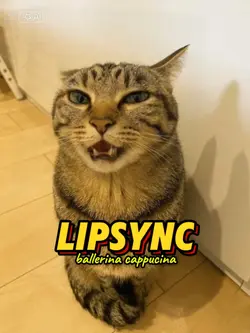 ballerina cappucina