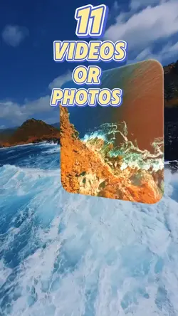 11 new template 2025