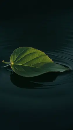 Manah sayau kediri..