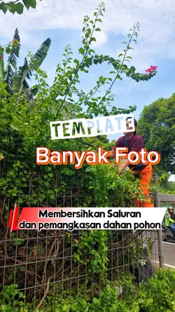template banyak foto