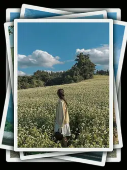 8Pic Clip Transition