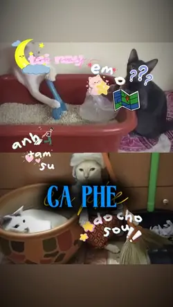 chờ hồi âm thật lâu