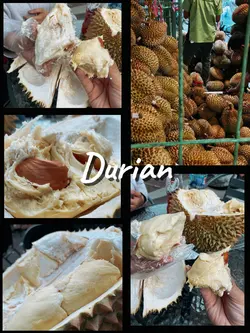 Durian