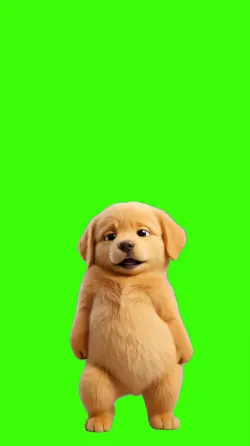 Dog/Cachorro.