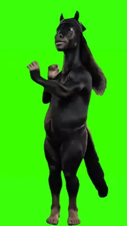 Randy Mustang Dance