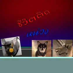 คาถาเพลิงโอลิมปัส