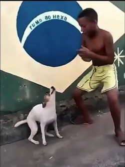 amazing trending vid