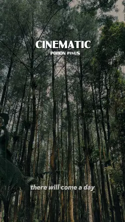 CINEMATIC pinus 