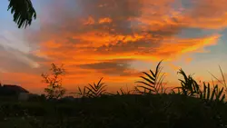 Anh Vui + 1 video 