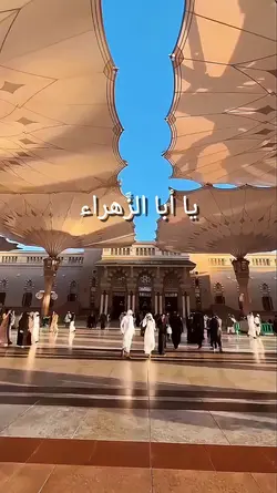 qalbi fil madinah