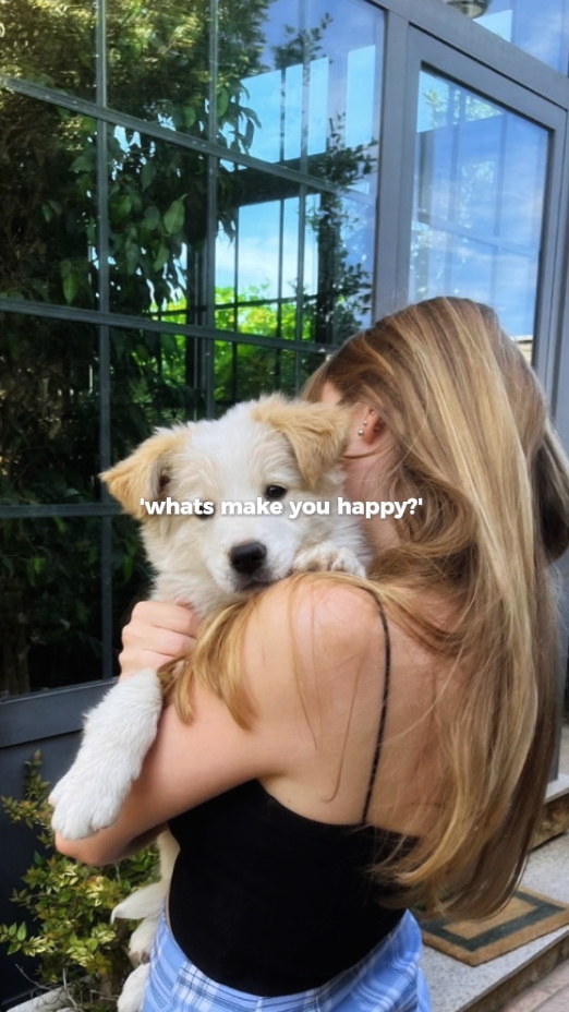 mon chien