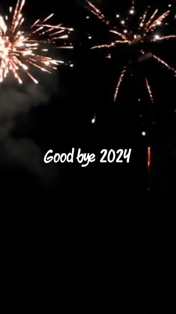 再见2024